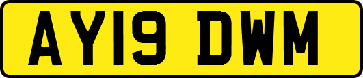 AY19DWM