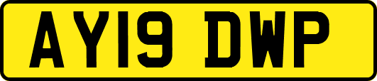 AY19DWP