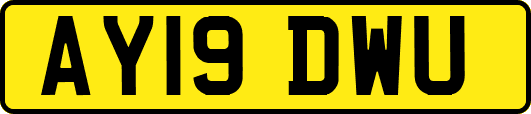 AY19DWU