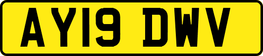 AY19DWV