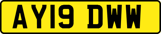 AY19DWW