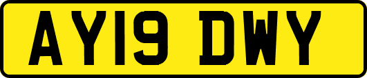AY19DWY