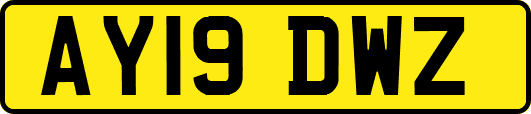 AY19DWZ