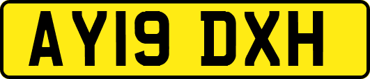 AY19DXH