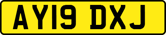 AY19DXJ