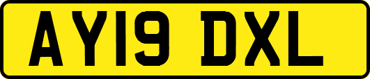AY19DXL