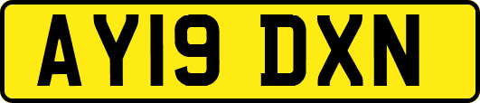 AY19DXN
