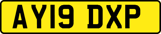 AY19DXP