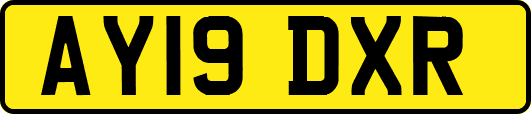 AY19DXR