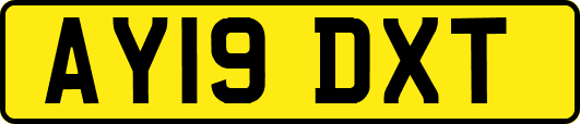 AY19DXT