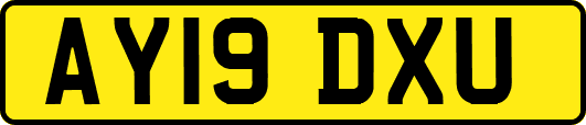 AY19DXU