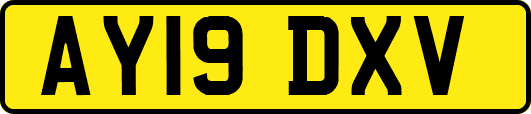 AY19DXV