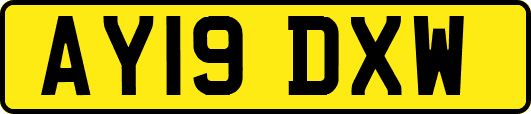 AY19DXW