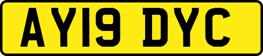 AY19DYC