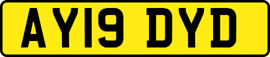 AY19DYD
