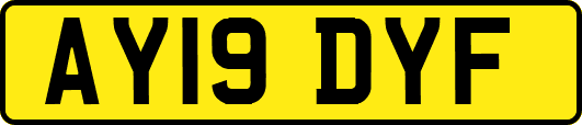 AY19DYF