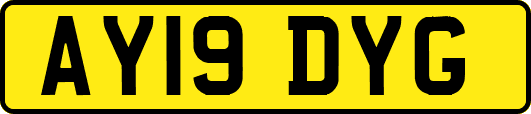 AY19DYG
