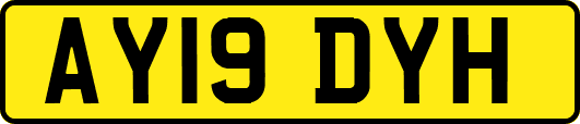 AY19DYH