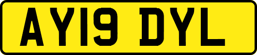 AY19DYL