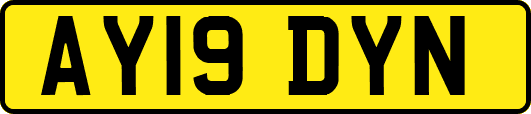 AY19DYN