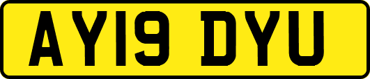 AY19DYU