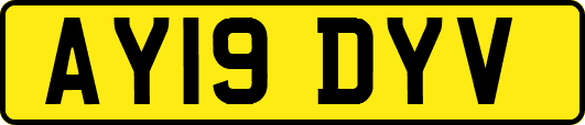 AY19DYV