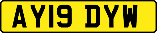 AY19DYW