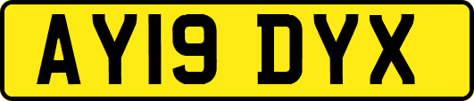 AY19DYX