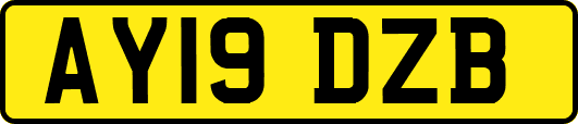 AY19DZB