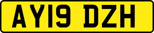 AY19DZH