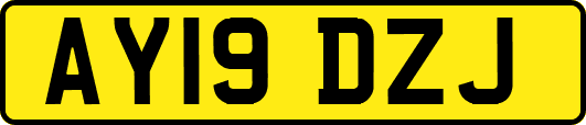 AY19DZJ