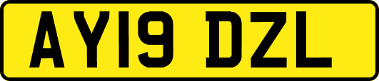 AY19DZL