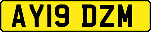 AY19DZM