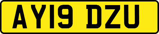 AY19DZU