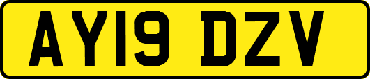 AY19DZV