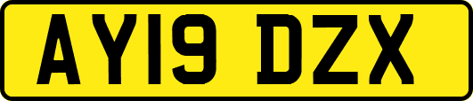 AY19DZX