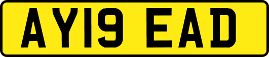 AY19EAD