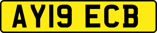 AY19ECB