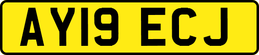 AY19ECJ