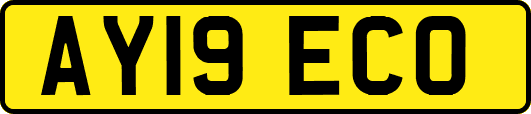 AY19ECO