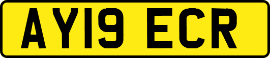 AY19ECR
