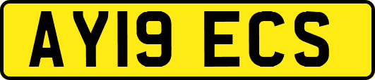 AY19ECS