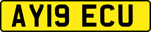 AY19ECU