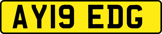 AY19EDG