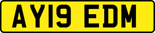 AY19EDM