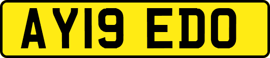 AY19EDO