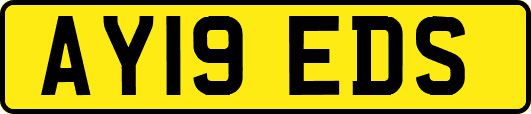 AY19EDS
