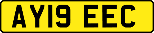 AY19EEC