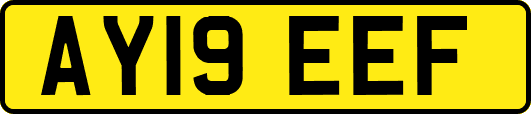 AY19EEF