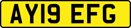 AY19EFG